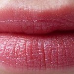 Max Factor Colour Elixier Lippenstift Raisin
