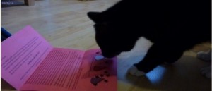 Der-Beauty-Blog-Cat bei der Duftüberprüfung