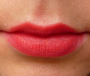 Bobbi Brown Creamy Matte Lip Color Lippenstift 8 Calypso Titelbild