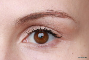 Die Augenbrauen mit dem Eyebrow Styler light brown