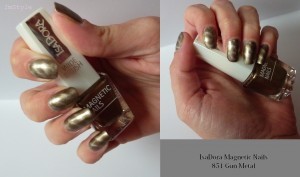 NOTD IsaDora Magnetic Nails 851 Gun Metal